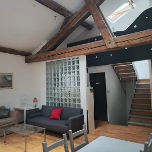  Habitación en casa particular Loft Viarhona, Grand Loft En Centre-ville